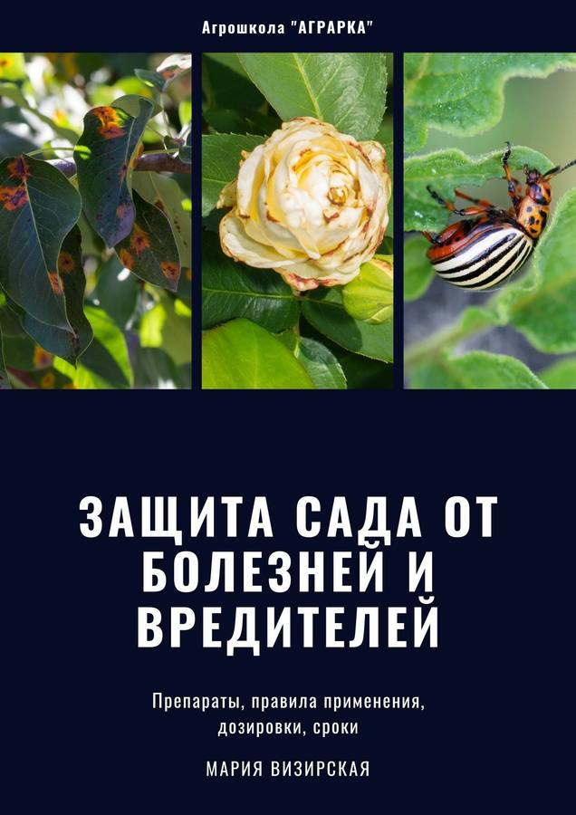 Защита сада от болезней и вредителей